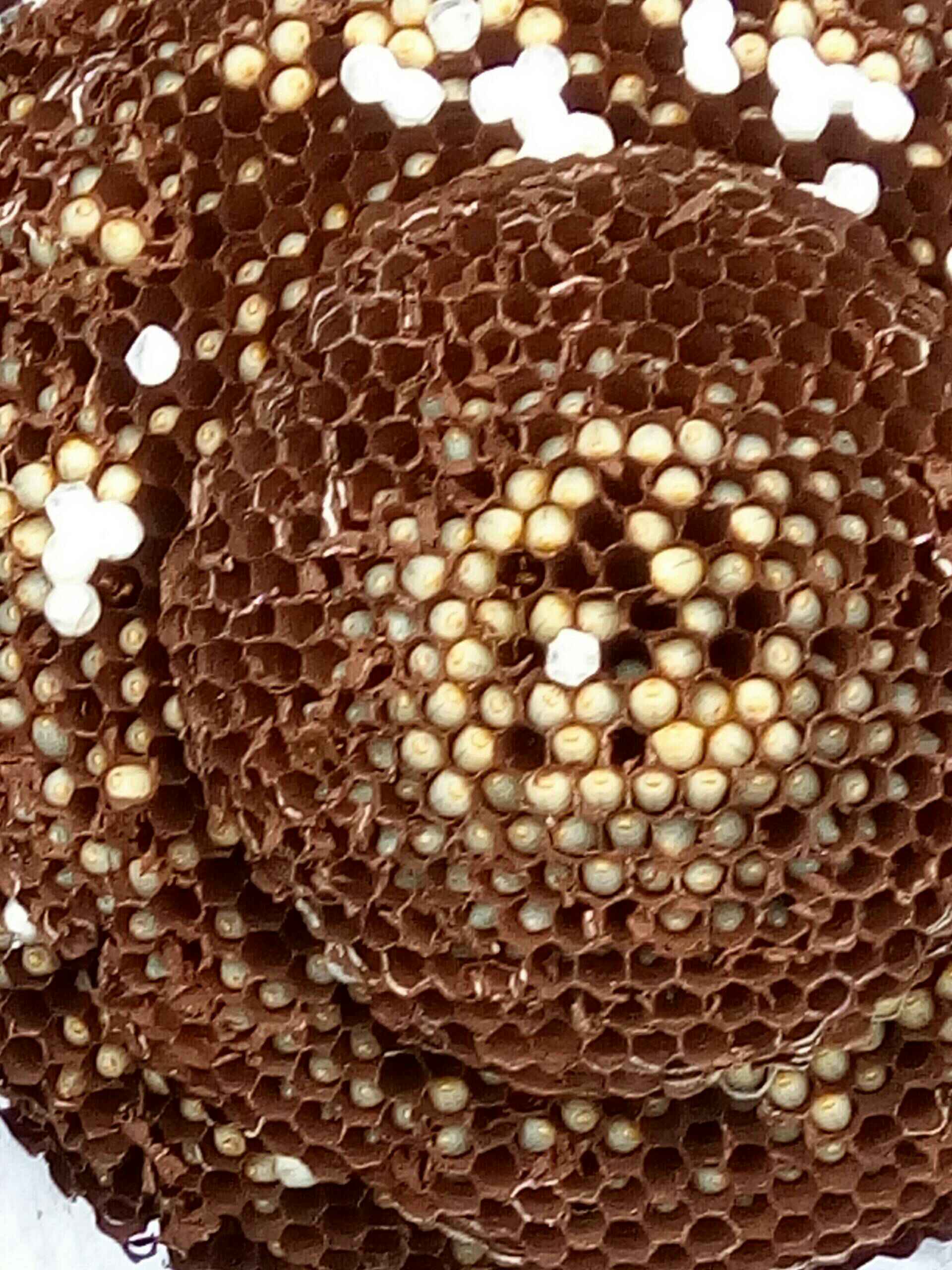 九游官方入口-徭役什么意思