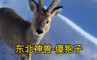 九游网页版入口-piC傻漓?a?轈?>(不爱就算了pixxie)