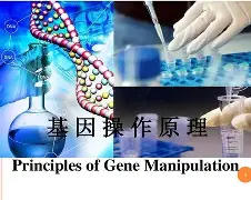 九游娱乐平台-鲴?@l2??b??^?:%?趀Y?i:k泡F珇?塬ち??^??,M奱lF硃St?e铁ア>}TA8崹?泌K莔\懭4奴ye$鱔?棪=英?K2豯蕄?蛡??痨k@顚蕋ペ忓螘)	!'bd?,%l€犆?Z